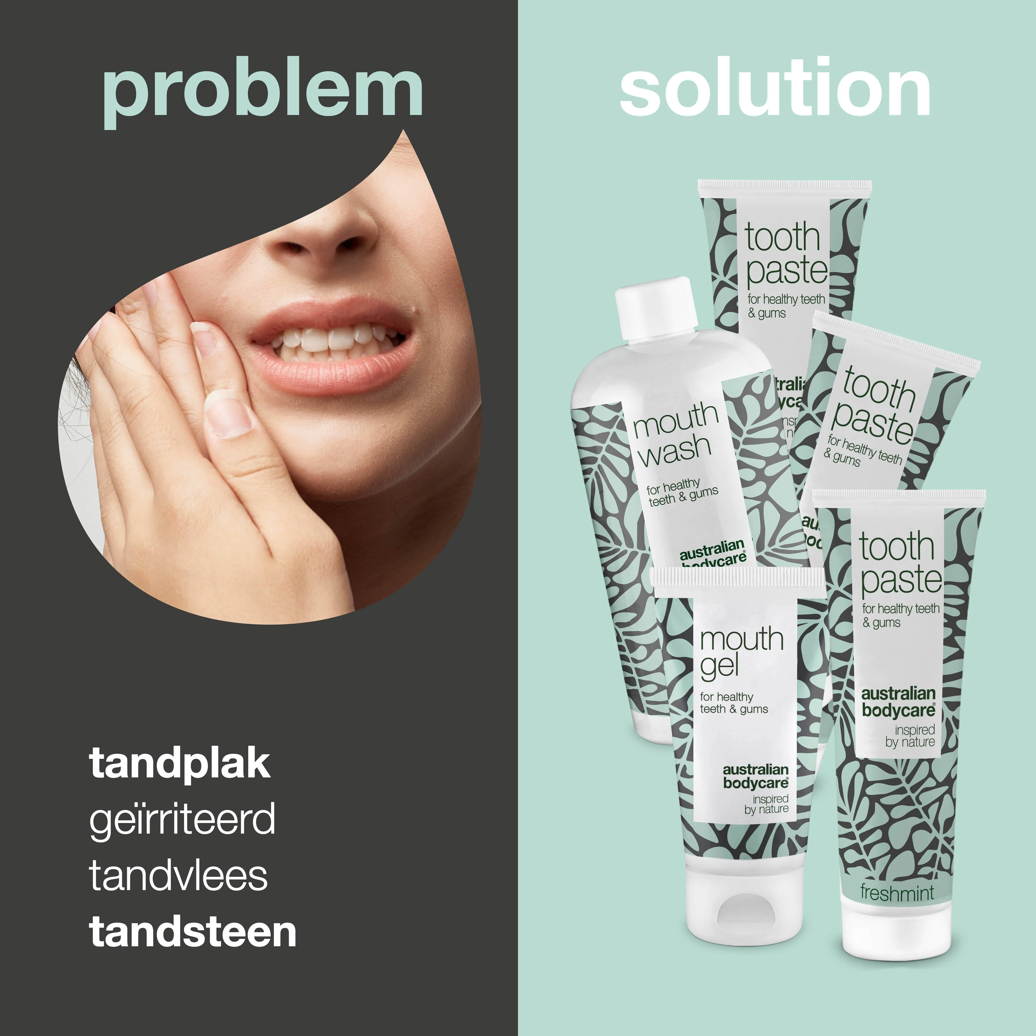 Verzorgingspakket voor Tandplak en Tandsteen — Voorkom Tandplak en Tandsteen - Image 2