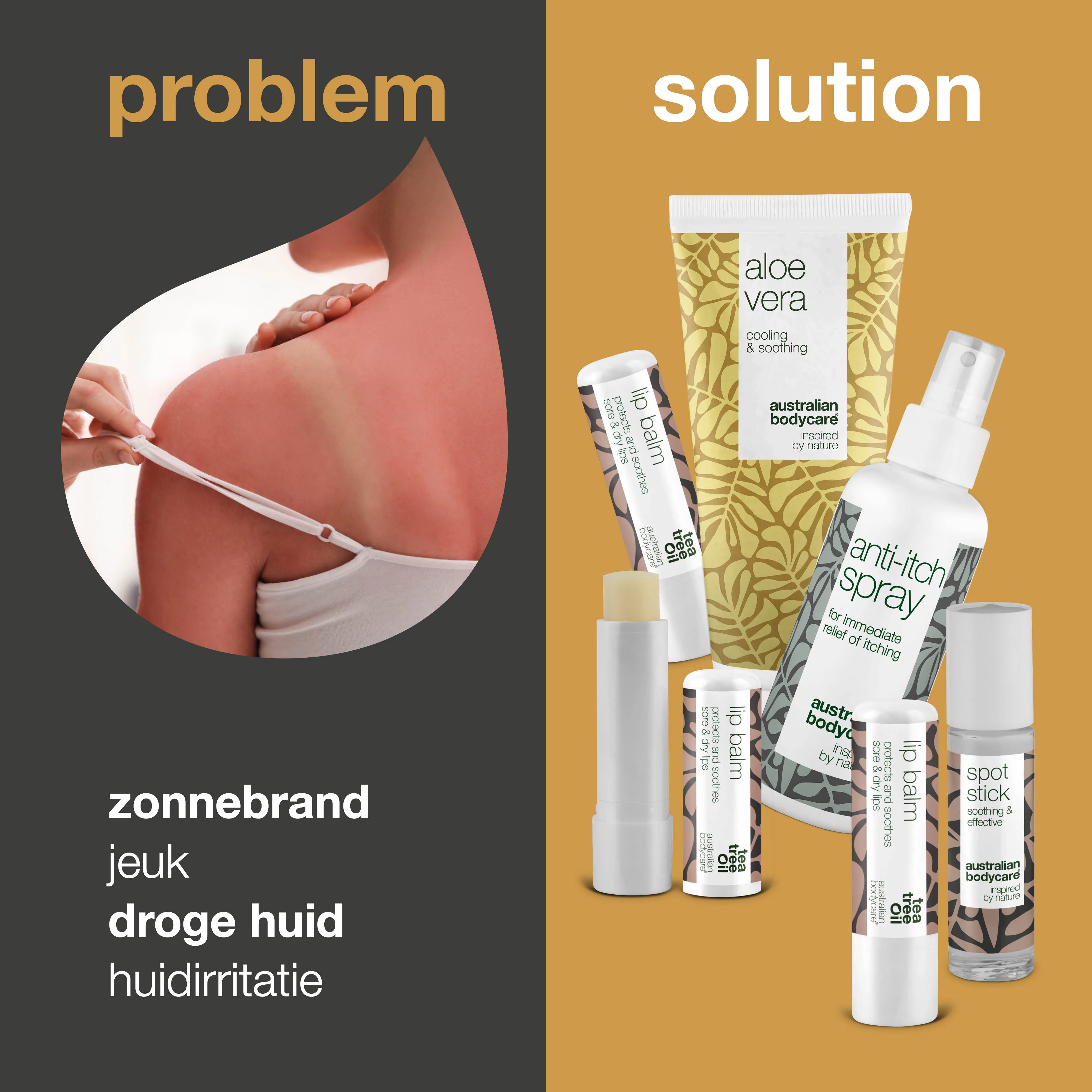 Zomerproducten — Producten voor de verzorging bij zonnebrand of andere huidproblemen - Image 2